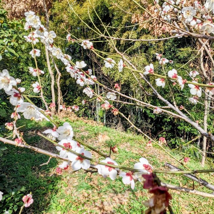 237b0fe0 4afb 464b a897 84f584737925 1771812699713