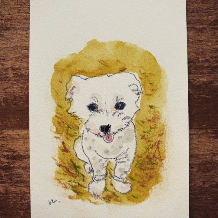 237b24a3 8a57 4c6f b7ab 690e15ad43e1 1606521561715