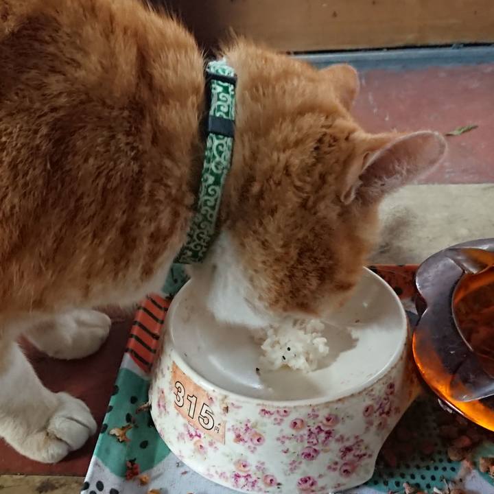 237b6b71 201f 485e 90f1 3c20d7897515 1584675353792