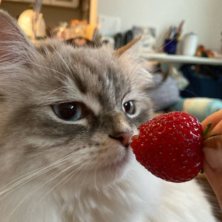 237bb98c ba0b 448a ae5c 5178ce77288a 1708227499885