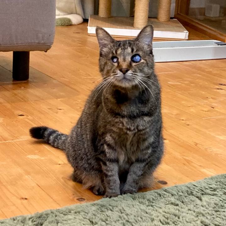 237bbdb7 ce6d 4f74 aa83 28a52862108c 1666171675915