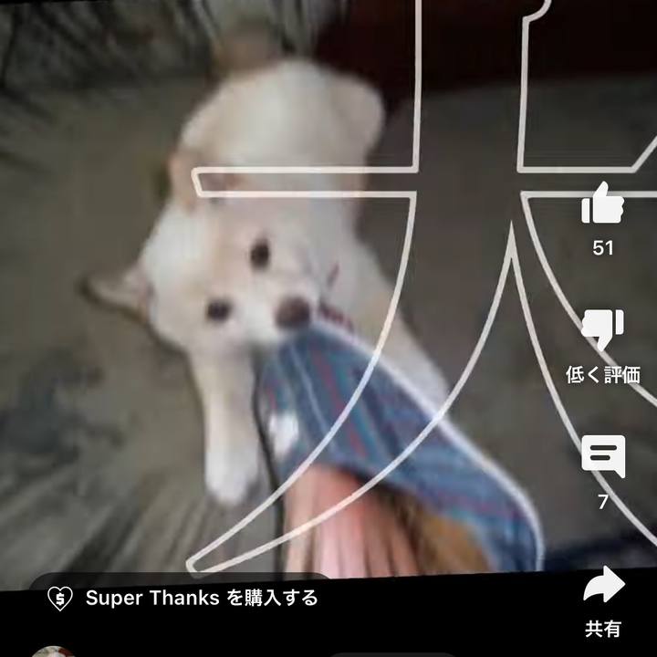 237c317e f7c4 43c2 9328 7eae583fcb64 1714087277706