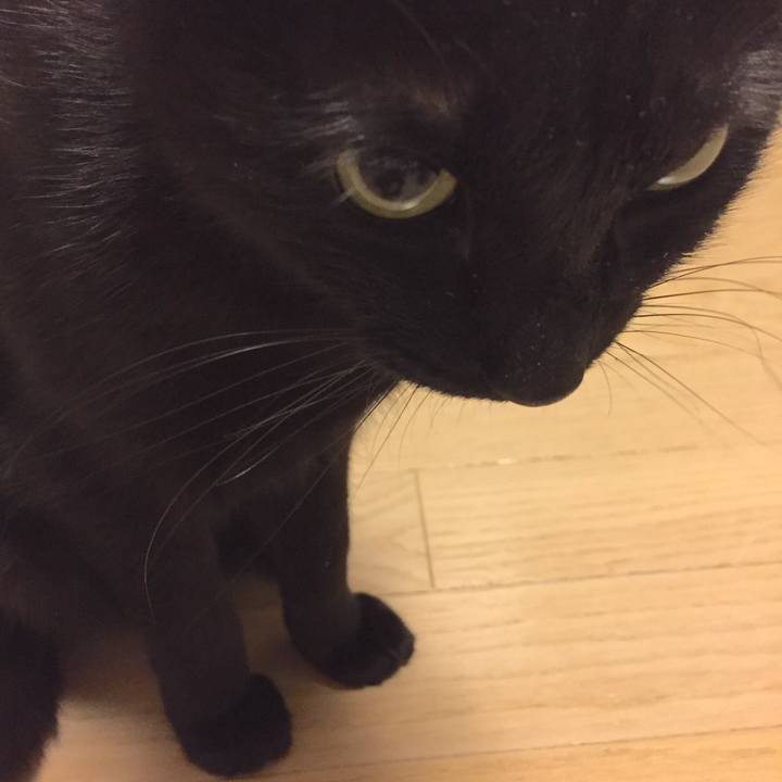 237c3b52 0570 43c9 85ad 615c389b8865 1511619649660