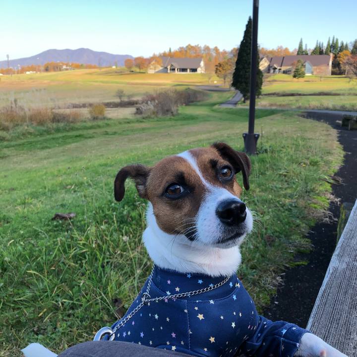 237c3f7e 8df9 464d b24e bc515892c32a 1573623363544