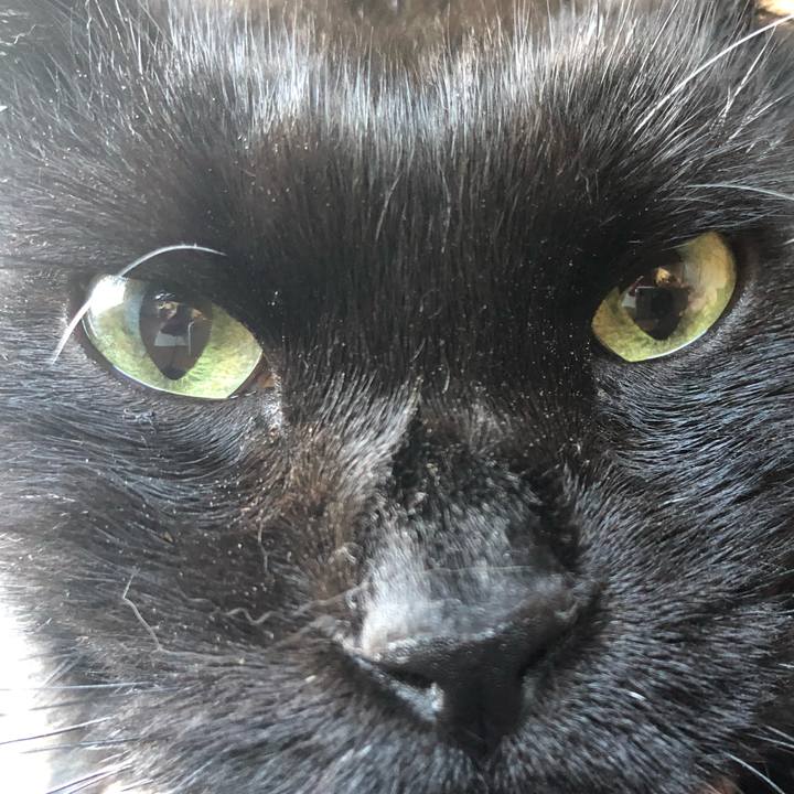 237c7ea4 c58f 4354 ab4c 39636fd8767c 1636153750916