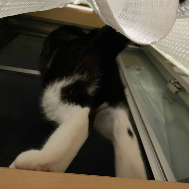 237c8927 9a7e 4b65 bd9b 2671dc701862 1699938000228