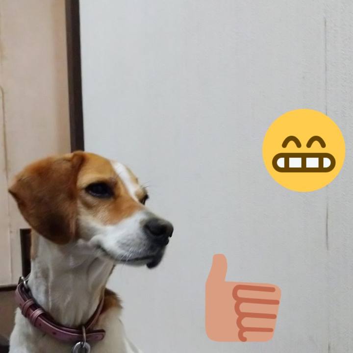 237cb2b6 6dbb 454b 8369 37621cebf5b0 1592535319204