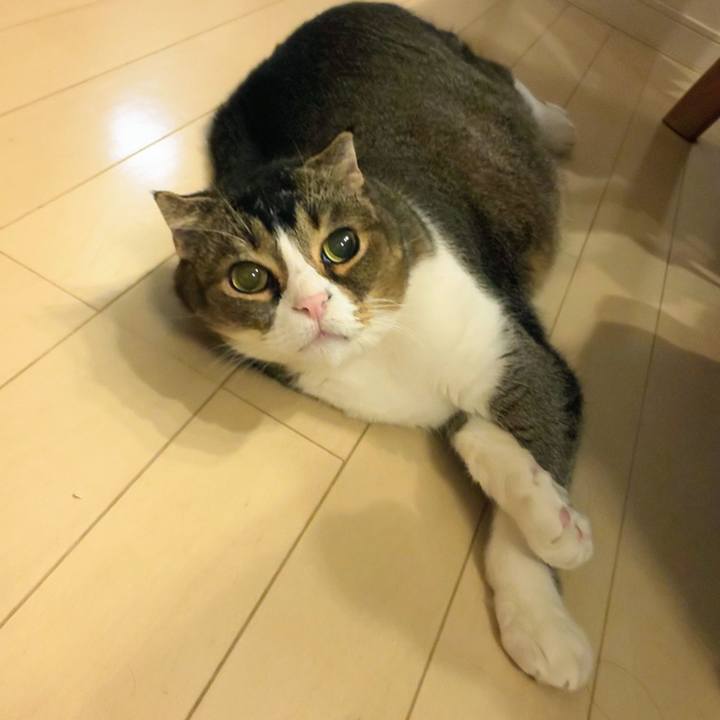 237d0961 7e12 4750 ac25 843a01a1007e 1763160138617