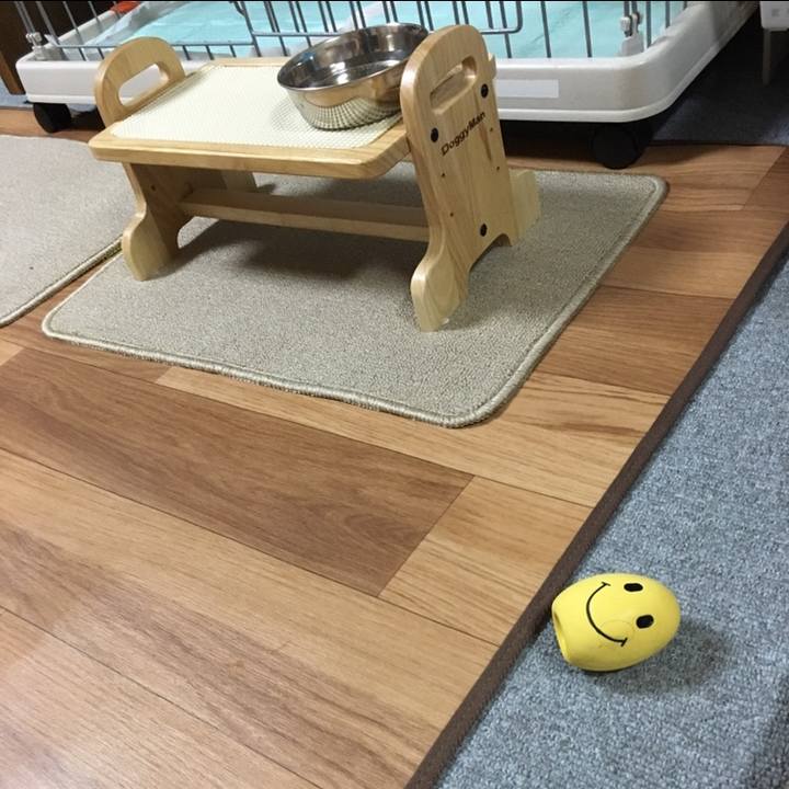 237d414b edfd 47a1 8ddd 24b57f38a69a 1597251276614