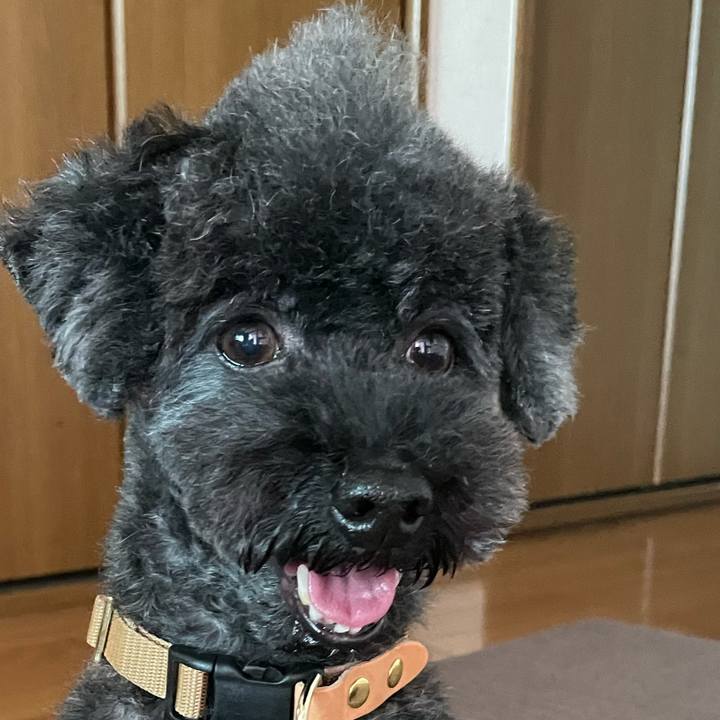 237d64ec fdca 4443 99e2 b82bd546a21d 1752904127545