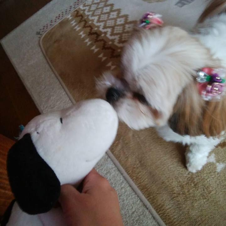 237d6d00 e2f8 4068 a9d2 78f422e1debc 1519172712413