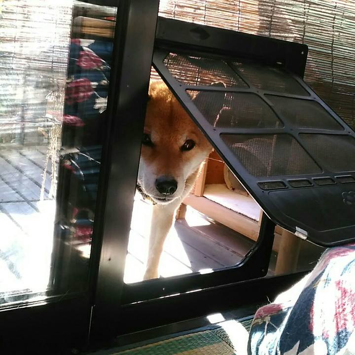 237deb8b 1c8b 49b0 9368 b53e18aafbe4 1545110815282