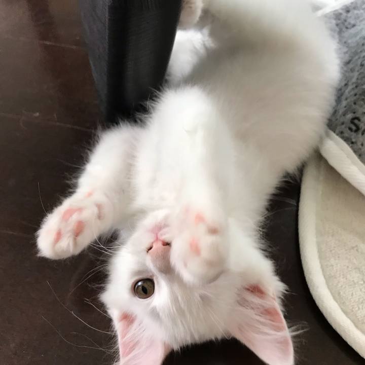 237e26ae 4fd2 4966 8cd0 3f43a809a5f1 1569717423447