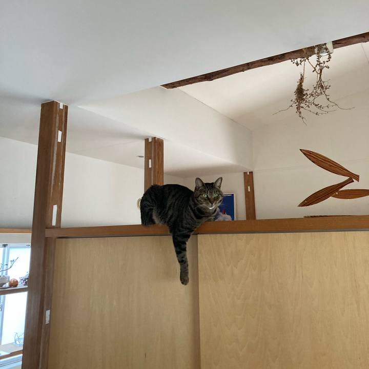 237e8b29 4e88 47ba 9311 047f2bb2798a 1765596713616