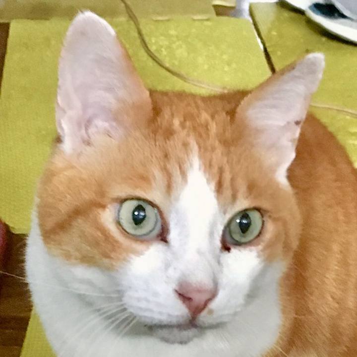 237ed0db 2210 4d7c a6ad 5a97bbf0a7ec 1560047802870