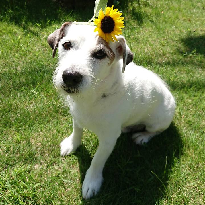 237ee7bb 832e 4d66 9124 1e276618b110 1537398686438