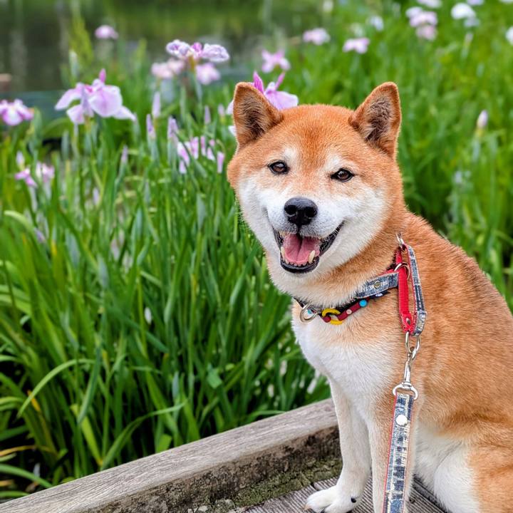 237f9153 4e9c 43d1 97f9 e2332162ac15 1748766355664