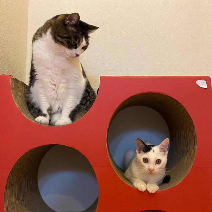 237f9651 1e66 4512 83e6 fdb64e1eb46e 1666330968408