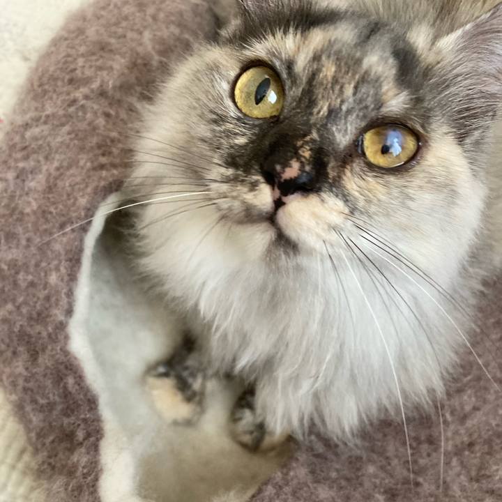 237febfe f950 4c61 a508 9ad193b47bec 1733378408409