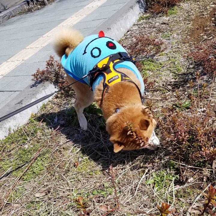 23801115 97c4 4aa2 b46f 67eb84467b57 1584521784666