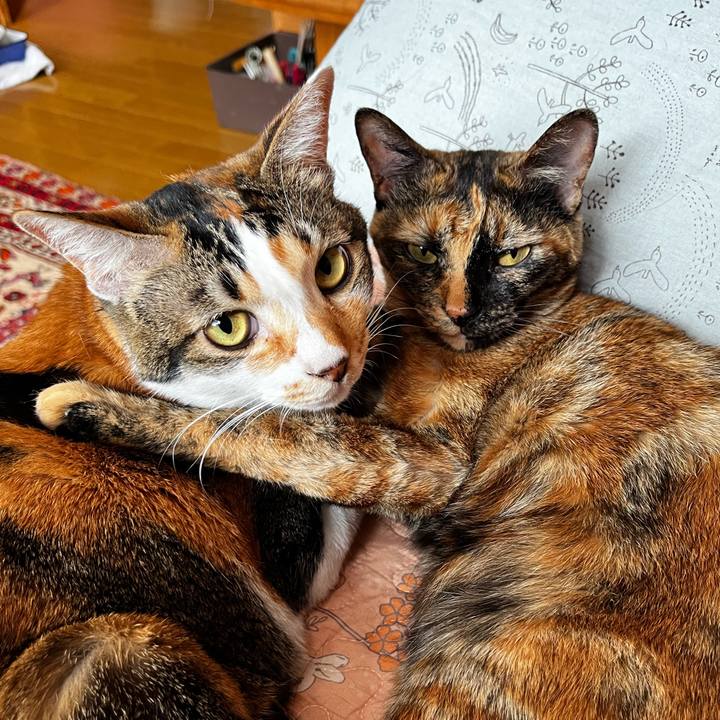 23801178 1519 4a60 ae5b d31388eac765 1718925638060