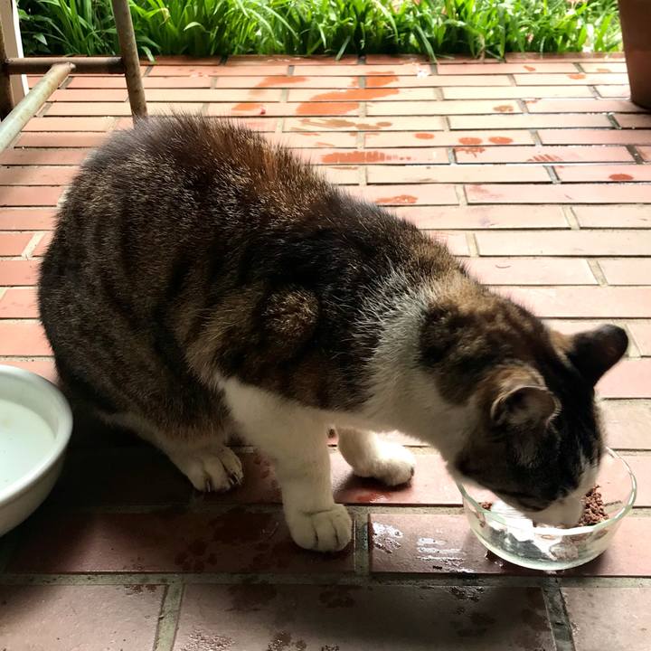 238021ef 7271 4cd8 9e1a fc9730cab2e9 1620869070596