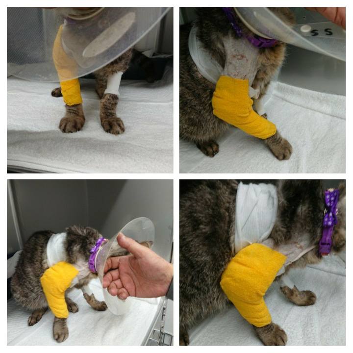 23804220 5940 40e3 b583 c6b3d43cde6a 1586163857588