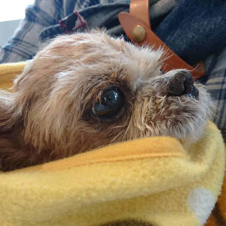 23805d71 29c8 4c21 b5ac 7bee9dc41516 1615438545551