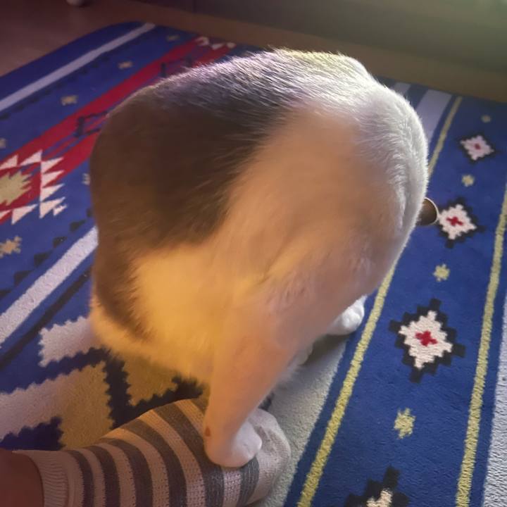 238091b6 e3b6 4b02 865d 34d021c7ac8f 1664804834166