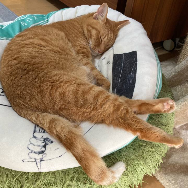 2380c053 829c 4f59 a0a7 863e3e920453 1755326498995