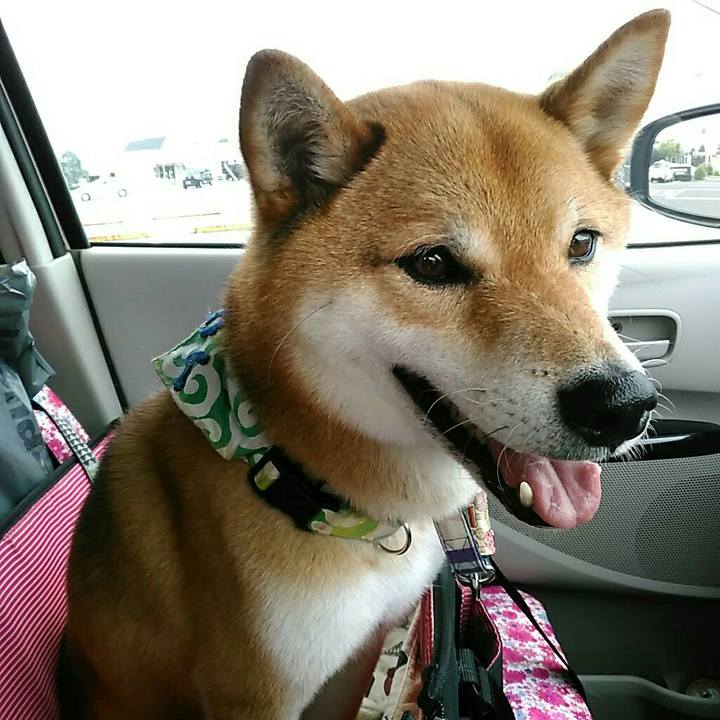 23811434 ab6e 4cb0 8225 60dea68472be 1561698099519