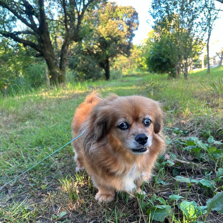 23817d07 d5f9 4f2d 963b 608965da33bd 1726264724277