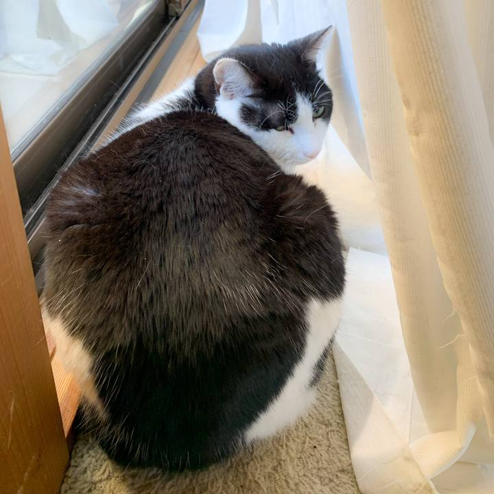 2381b64c efba 401a 8542 903be5778ac0 1586742966646