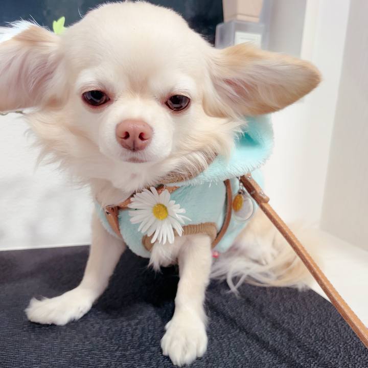 2381bf9a d3b2 4b69 8e1f f81db8816ab4 1701854504839