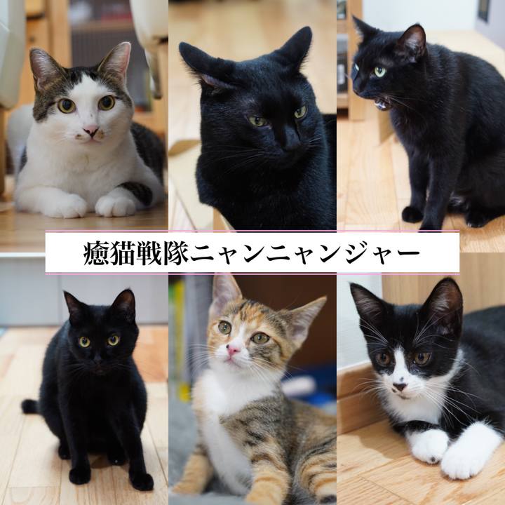 2381cbc3 e05f 4201 b583 a56c2461ce14 1568799091947