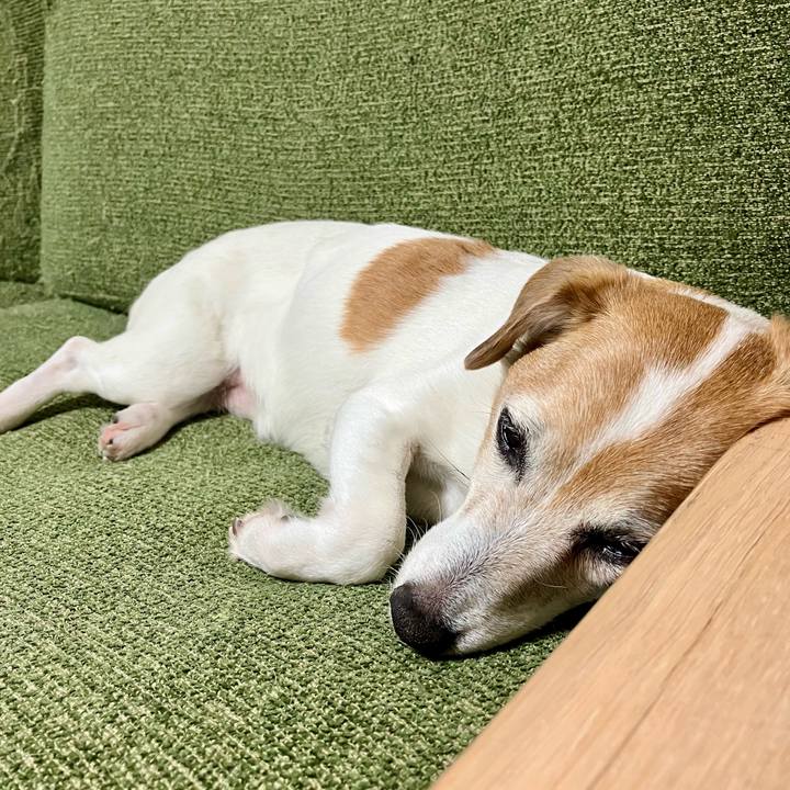 2381f995 3726 4d18 a596 1b6b30a30c6d 1705587551964