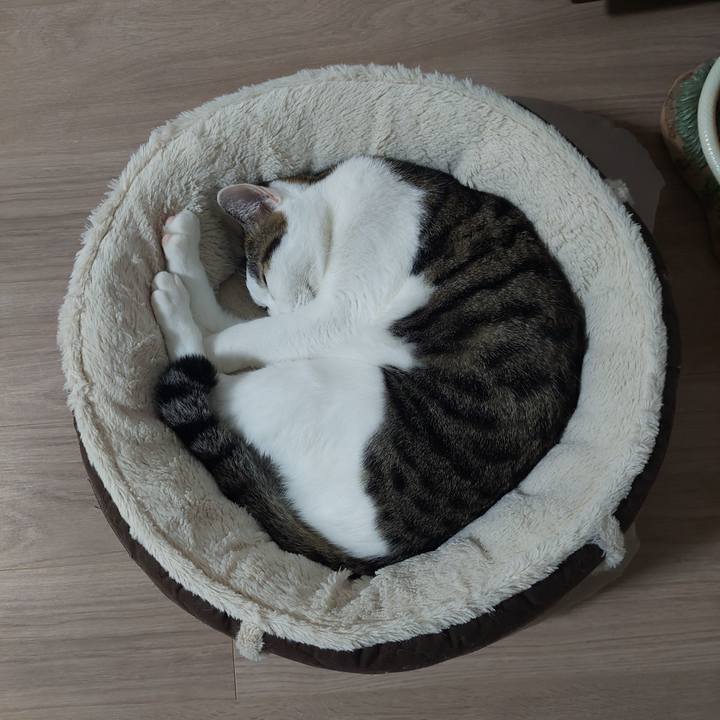 23822aab 1920 4aac baf4 ff5f92c36425 1634761370919