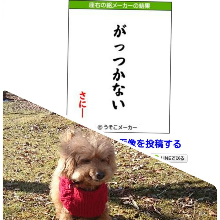 23826535 6f2d 4db9 af73 4c1b04810930 1515380513185