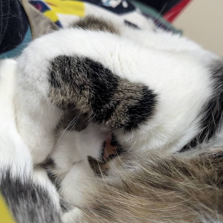 2382657f 1c8d 49d7 8f67 d983487c997b 1765690651056