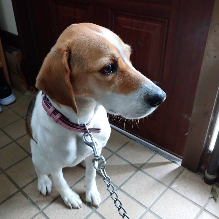 238282f8 18ad 425b a78e 21dcd47f01a2 1580006856033