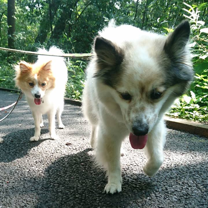 23829493 f9e5 4d90 9cef 2bee6794fd14 1566905702284