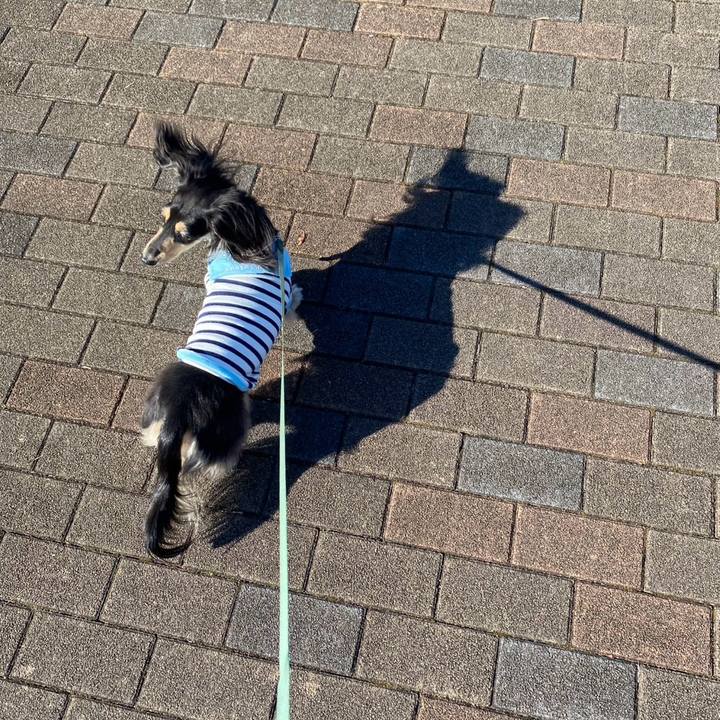 2382a056 8614 4506 9489 d3d98eef080f 1765371747018