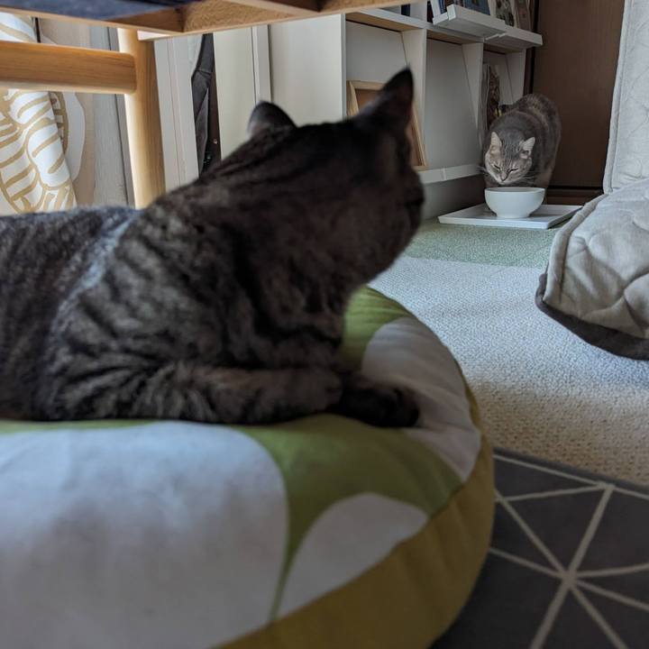 2382a28d 5c4a 48ec 88f0 ac9ff34967f0 1717564257717