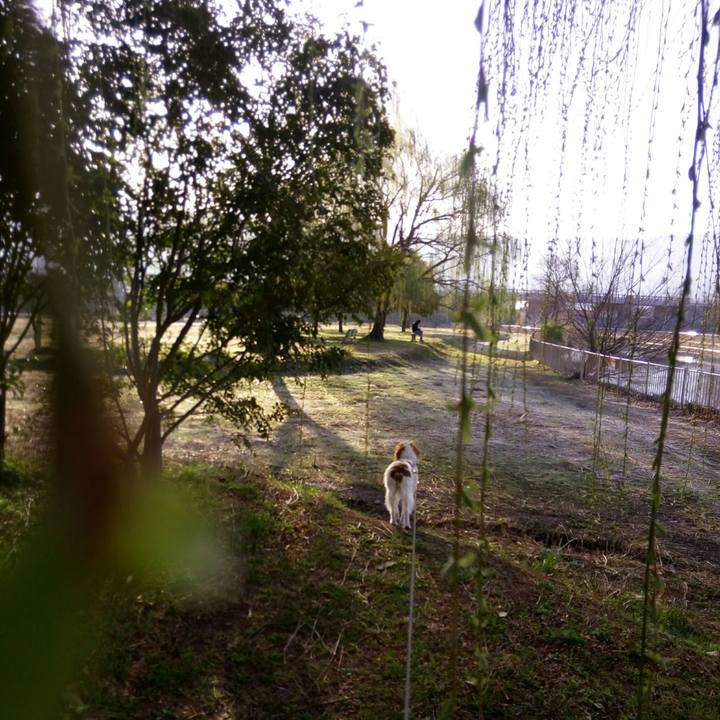 2382d332 e437 4f2c acda e78107f1f96c 1520728165751