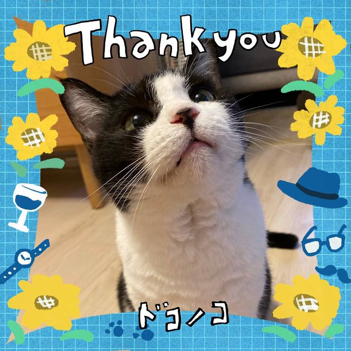 2383537c 5a92 42f1 9342 c81163f93509 1718538170696