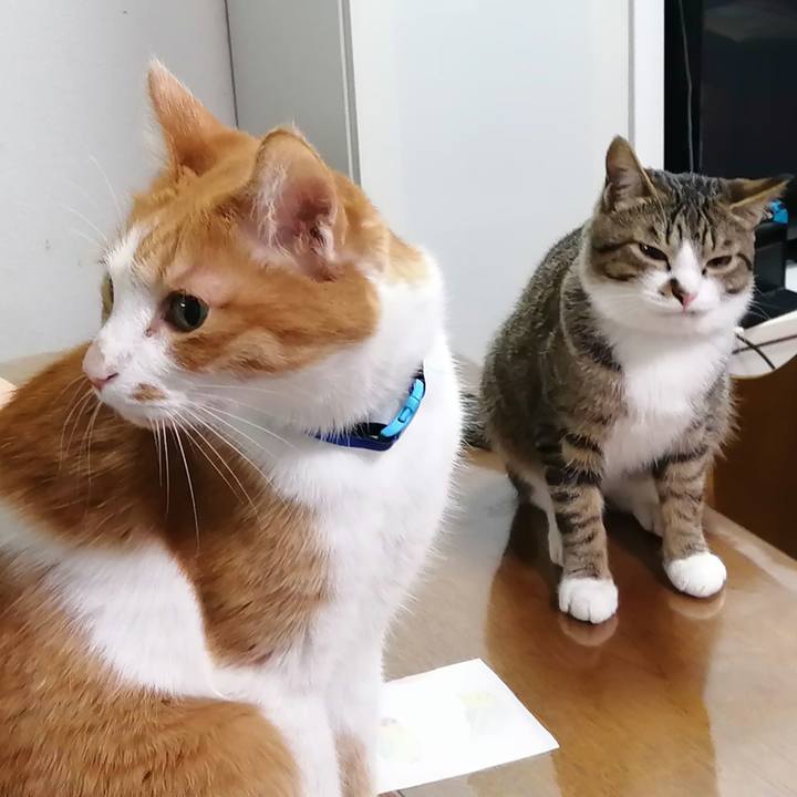 238393b7 9a5d 4edc 839d 8d884cfb8ae8 1672054913287