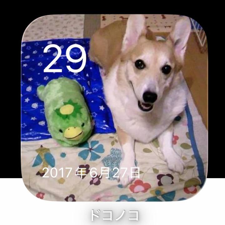 2383a59e ffbd 4714 871c 8f17d6f8a5a3 1782689306813