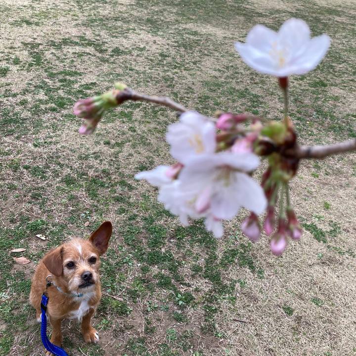 2383ba37 8b2d 48f5 9a92 3a1a63fe4e8b 1616228831028