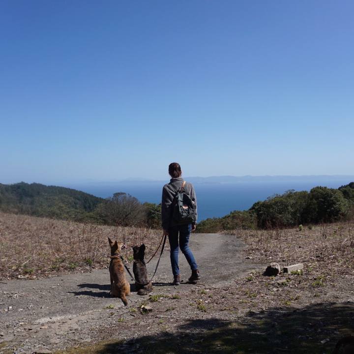 2383c9df ad24 455c ac63 9fcf77fca28f 1585712428000