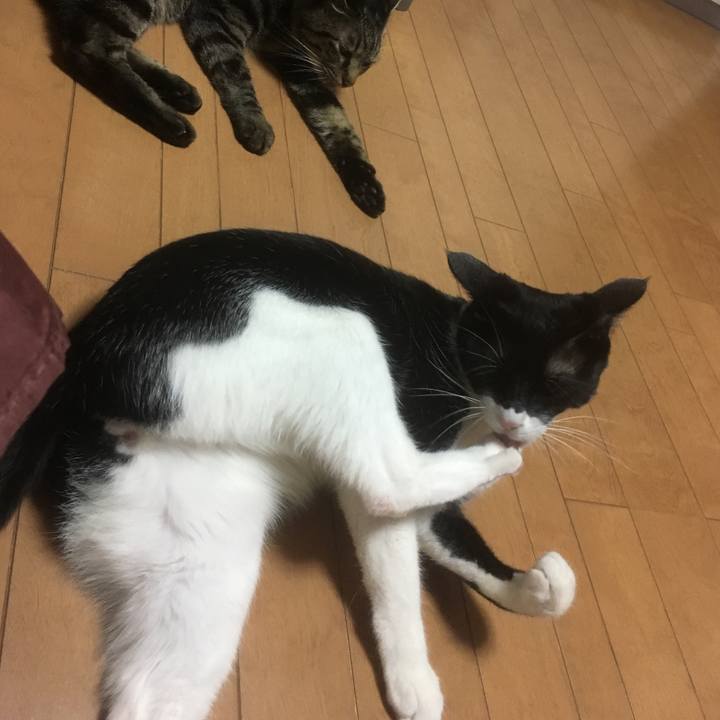 2383e05e 0f42 4fe5 80ad f8d9944b67a2 1550889107895